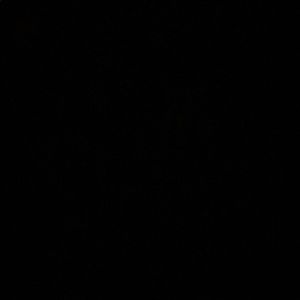 Meet your Posher, Dylan